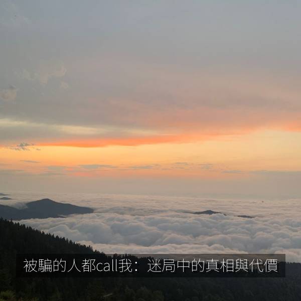 被騙的人都call我：迷局中的真相與代價 海报