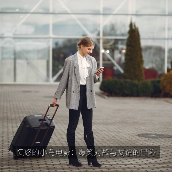 愤怒的小鸟电影：爆笑对战与友谊的冒险